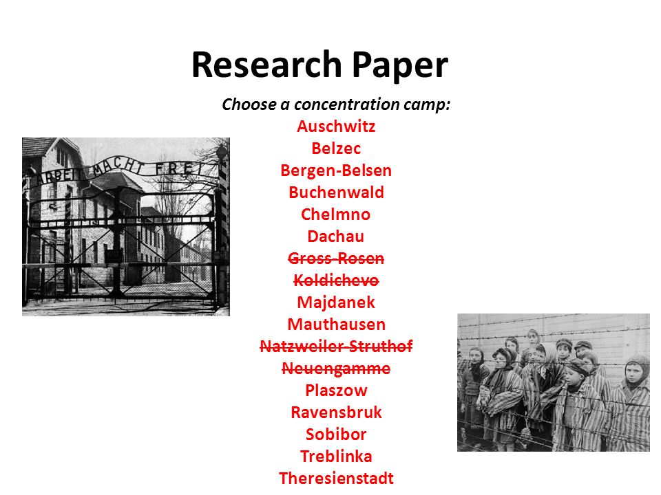 Essay: Concentration Camps